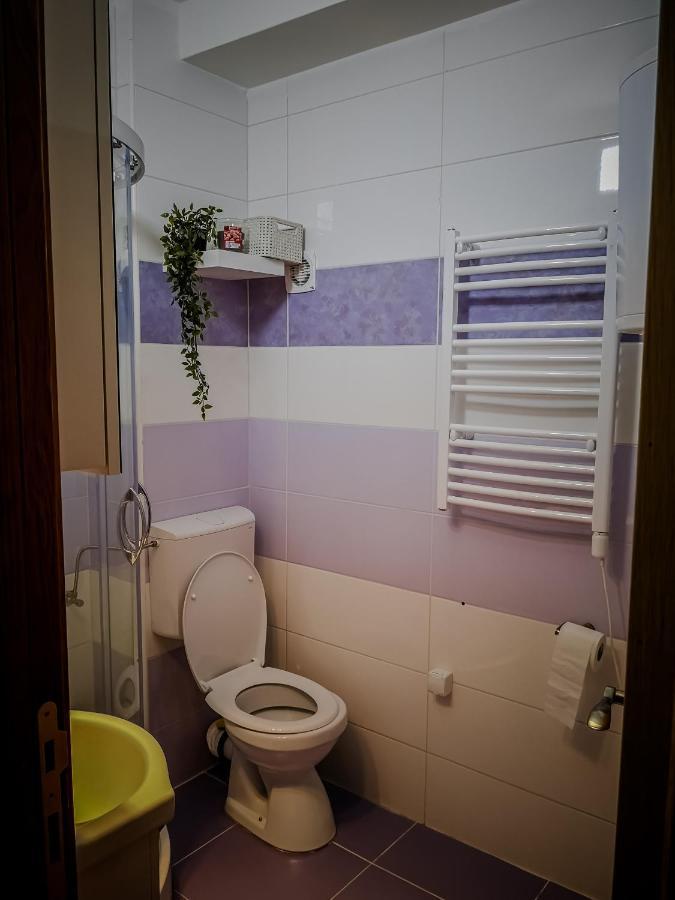 Star Apartman Brzece Kopaonik Buitenkant foto